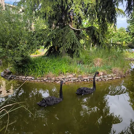 Cascadas, With A Pool View * Sluneční pobřeží