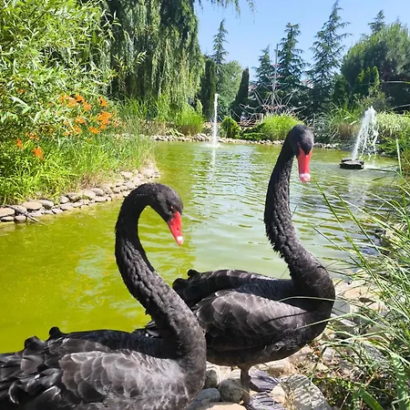 Apartmán Cascadas, With A Pool View Sluneční pobřeží