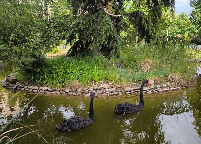 Cascadas, With A Pool View * Sluneční pobřeží