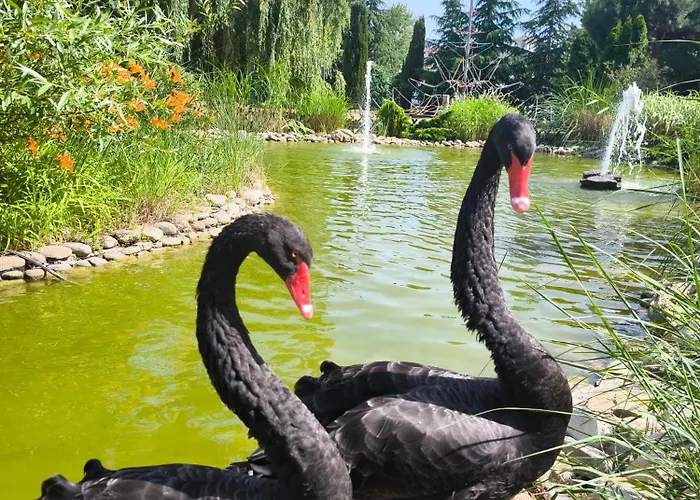 Apartmán Cascadas, With A Pool View Sluneční pobřeží